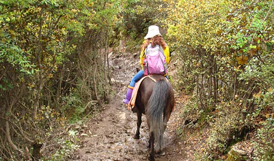 Horse Riding in Mt. Siguniangshan Scenic Area