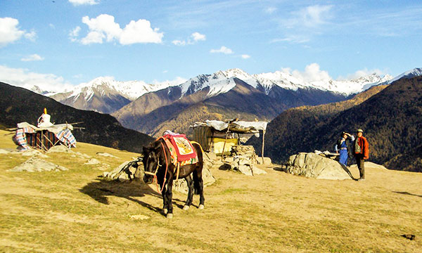 Horse riding is mainly a local feature.