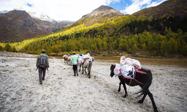 Trekking Along the Way