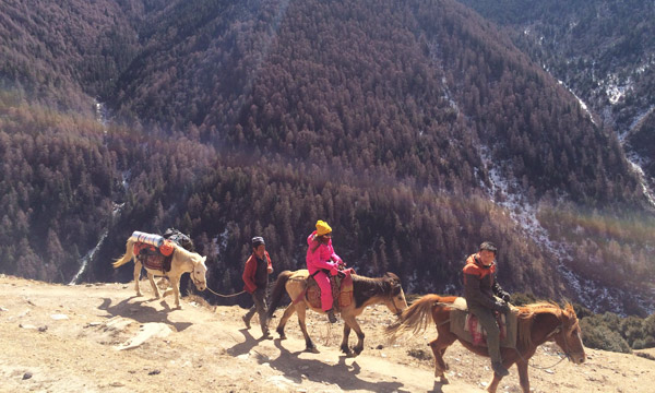 You can explore by riding horses.