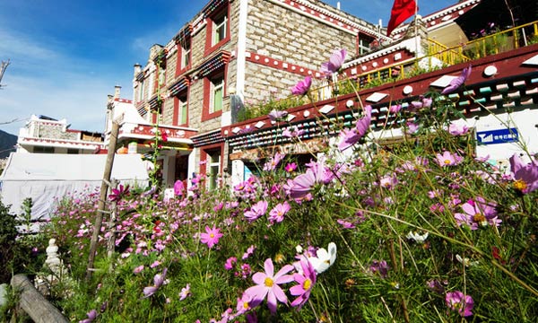 Rilong in Spring