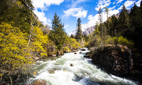 Small rivers trickle down the hillsides.