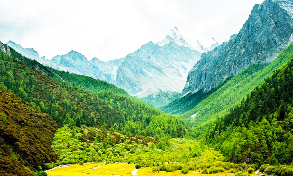 The Most Amazing Scenery of Daocheng Yading in Summer