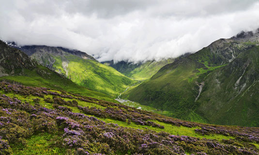 Mt. Siguniangshan Area in Summer