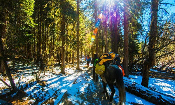Horses can be hired the heavier equipment.
