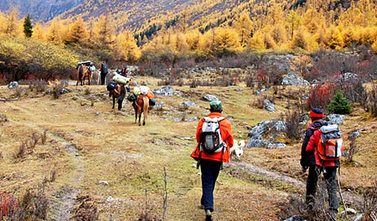 Trek in the Changping Valley of Mt. Siguniangshan