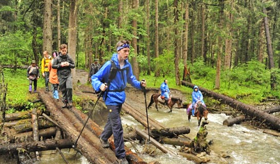 Trek in the old-growth forest of Mt. Siguniangshan