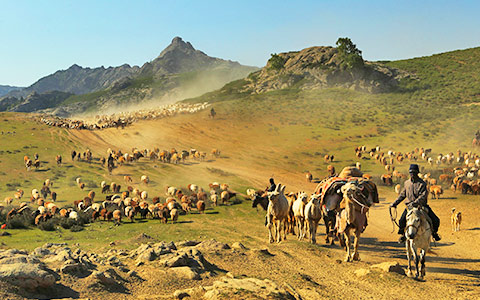 Facts of the Silk Road in China: Past, Present and Future