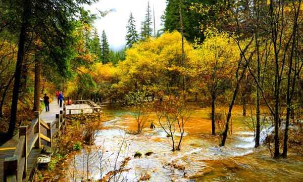the colorful foliage in Songpan