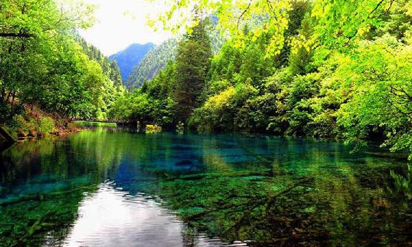 The leaves in Jiuzhaigou during summer are still green