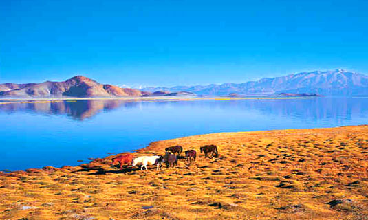 Mansarovar Lake