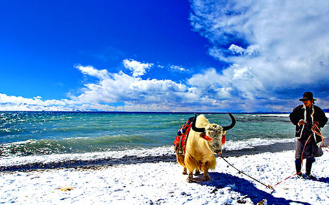 Top Things to Do & See in Tibet