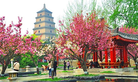 Xi'an in Spring