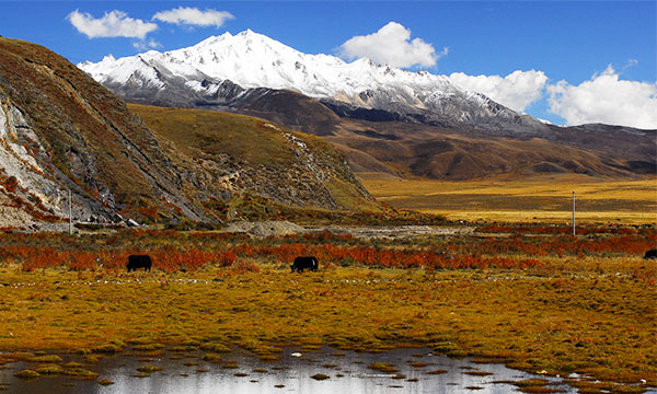 Autumn is the most beautiful season to visit Mount Yala.