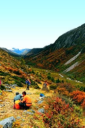 Recommended Itineraries