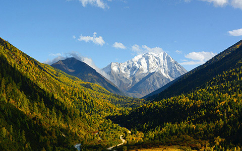 Yala Kamiyama Climate
