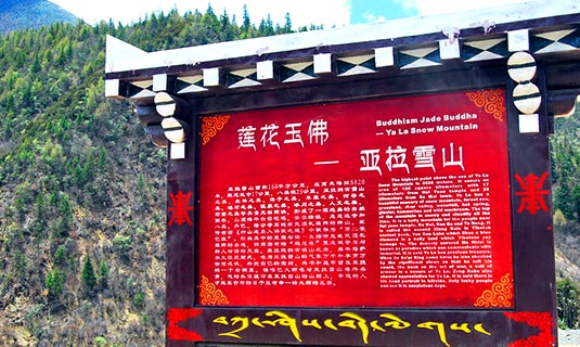 The Yala Kamiyama Introduction