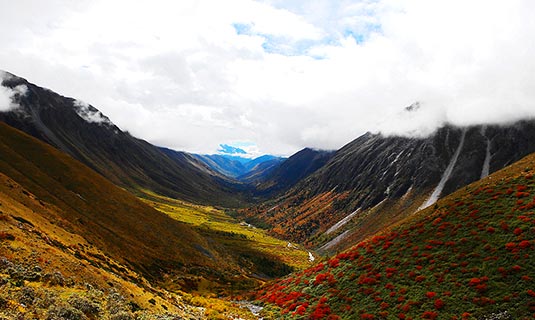 The Yala Kamiyama Pass