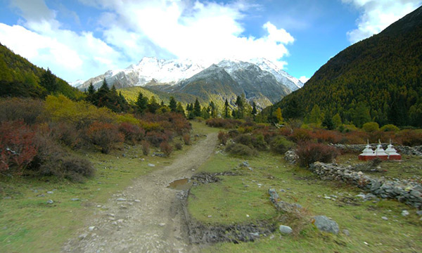 Yala Kamiyama
