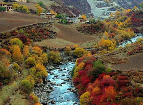 Batang Landscape