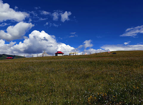 Daofu Grassland