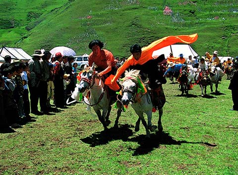 Horse Racing Festival