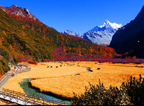 Daocheng